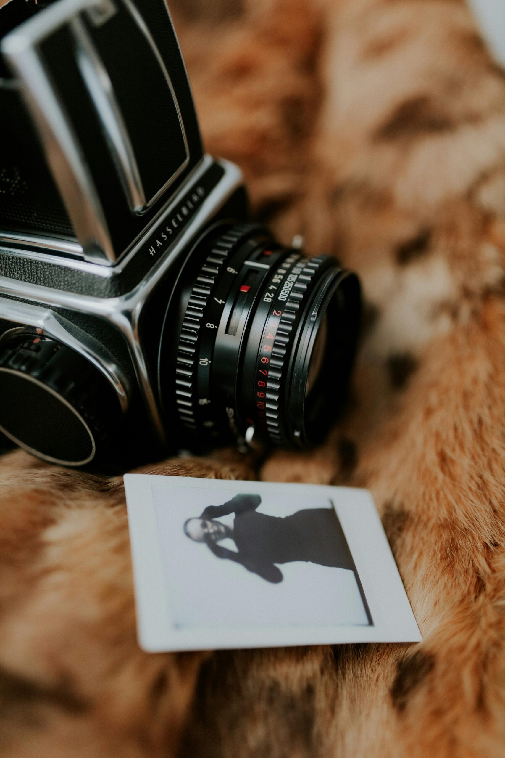 Gallery pexels photo 27869765 27869765