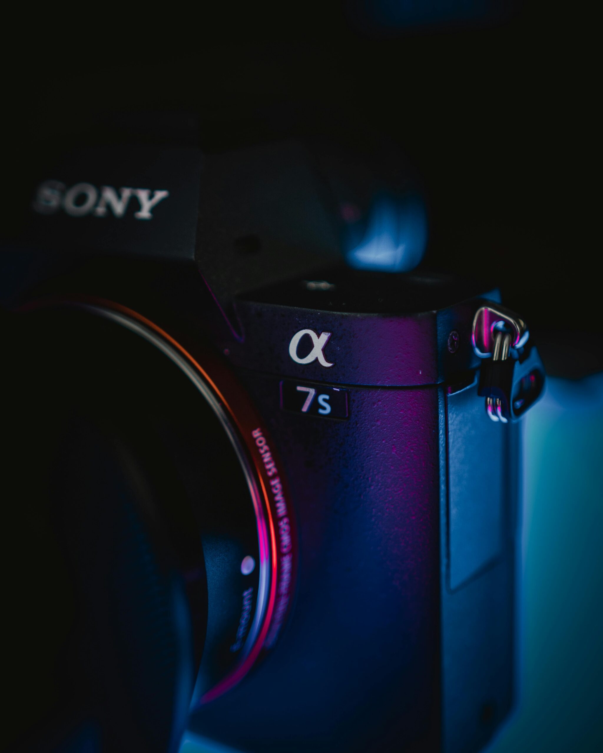 pexels photo 3069869 3069869